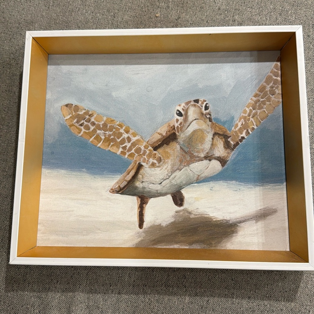 ✨🤍 TURTLE PAINTING FROM HOMEGOODS